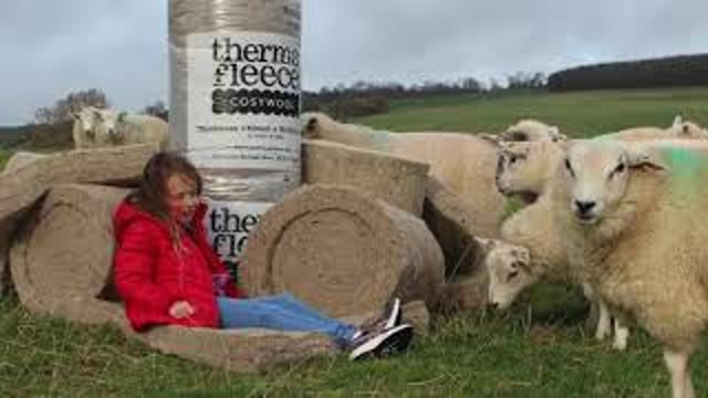 50mm ThermaFleece CosyWool Roll 370mm - desktop-video-preview-2